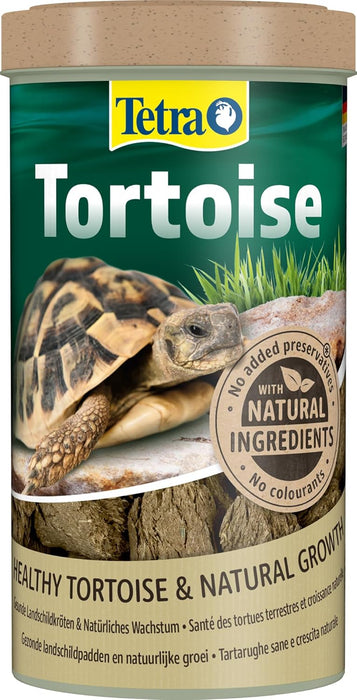 Tetra Tortoise