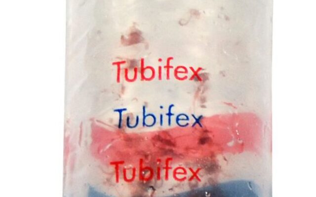 Tubifex 100 ml