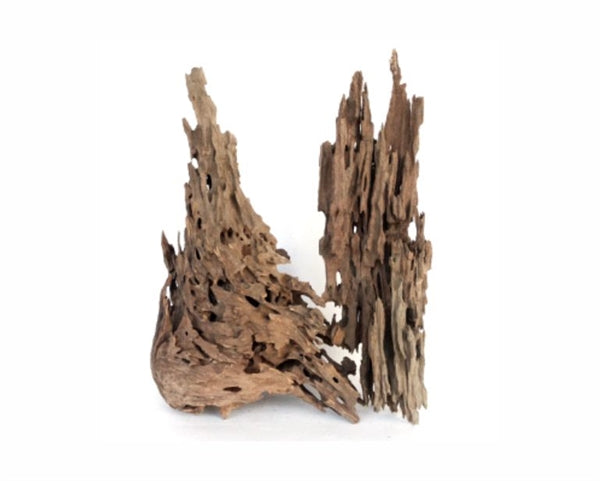 Wabi Kusa Honeycomb Wood 5-12 cm