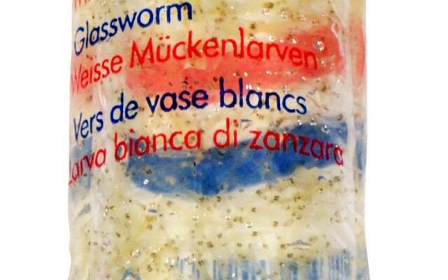 Witte Muggenlarven 100 ml