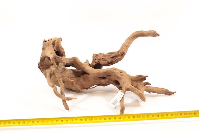Dark Spiderwood L 2