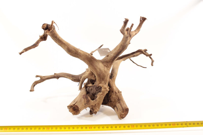 Dark Spiderwood L 3