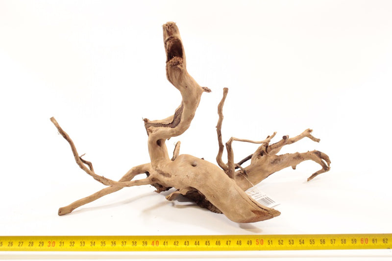 Dark Spiderwood M 2