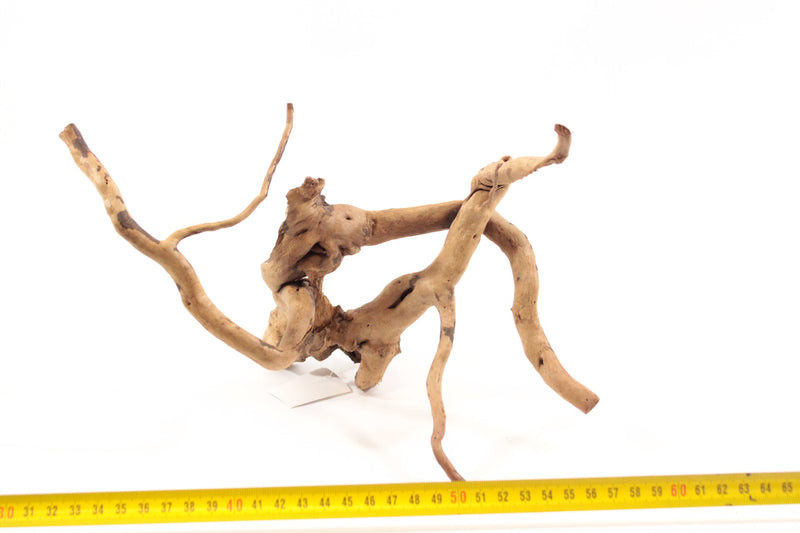 Dark Spiderwood S 3