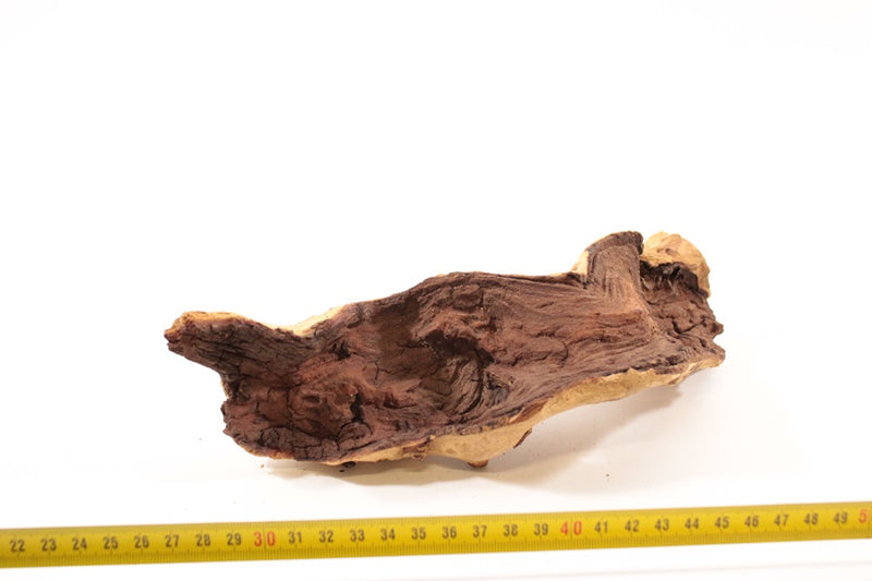 Mopani S 6