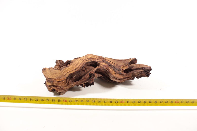 Mopani S 8