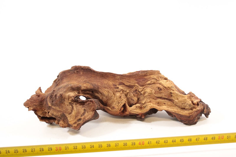 Mopani S 9