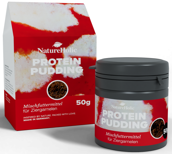 NatureHolic Protein Pudding
