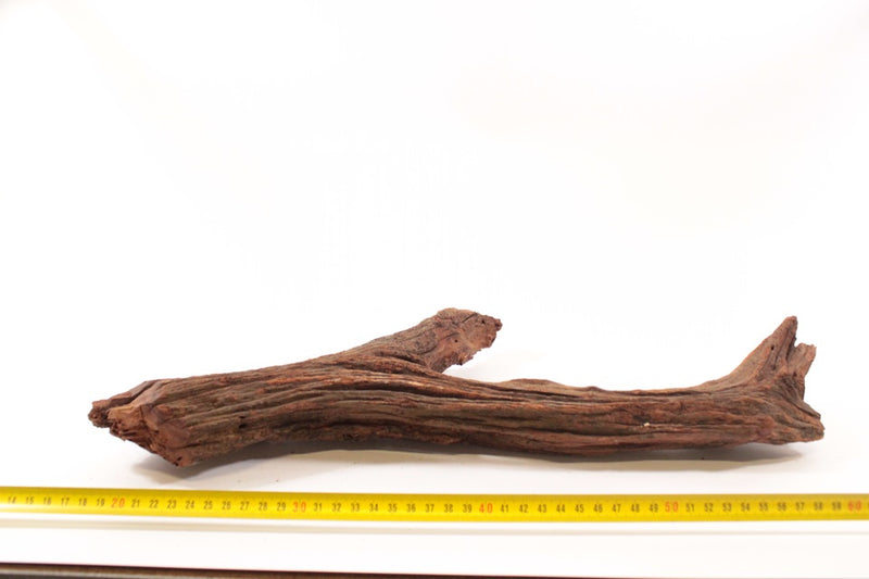 River Wood L 1