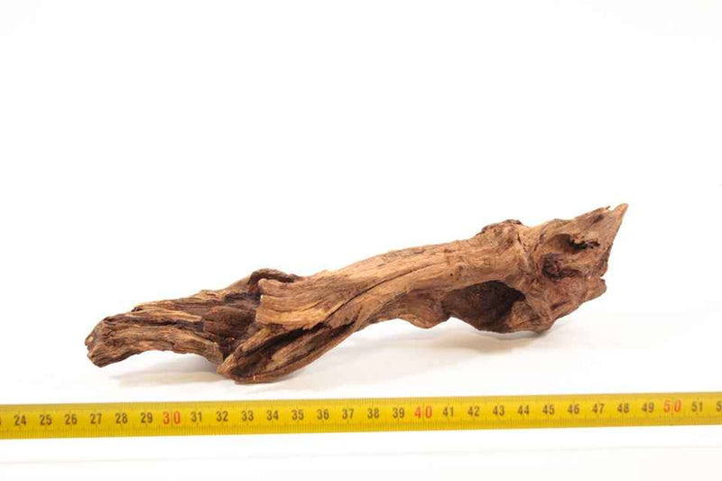 River Wood S 1