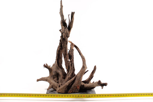 Scaper Roots - Aquascape - Aquariumdecoratie — Aquariumplantenshop