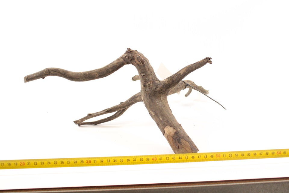 Scaper Root M 3