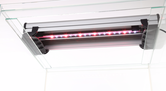 Sera Scaper Cube - Lighting