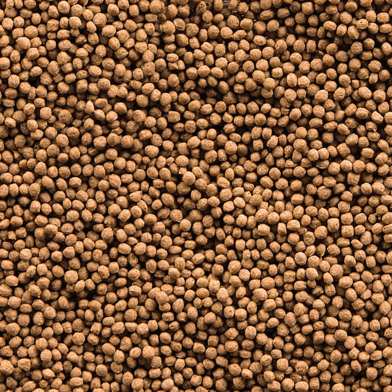 sera Goldfish Granules - Vissenvoer