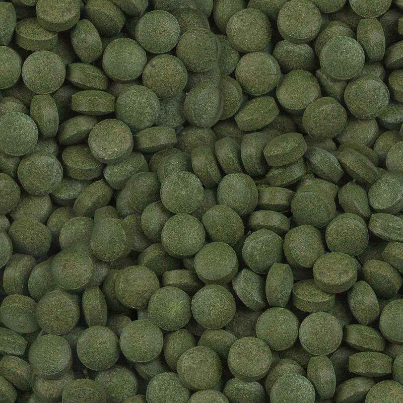 Sera Plankton Tabs Nature