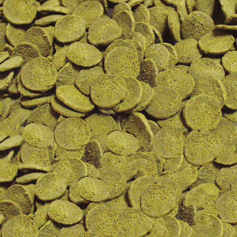 Sera Pleco Chips