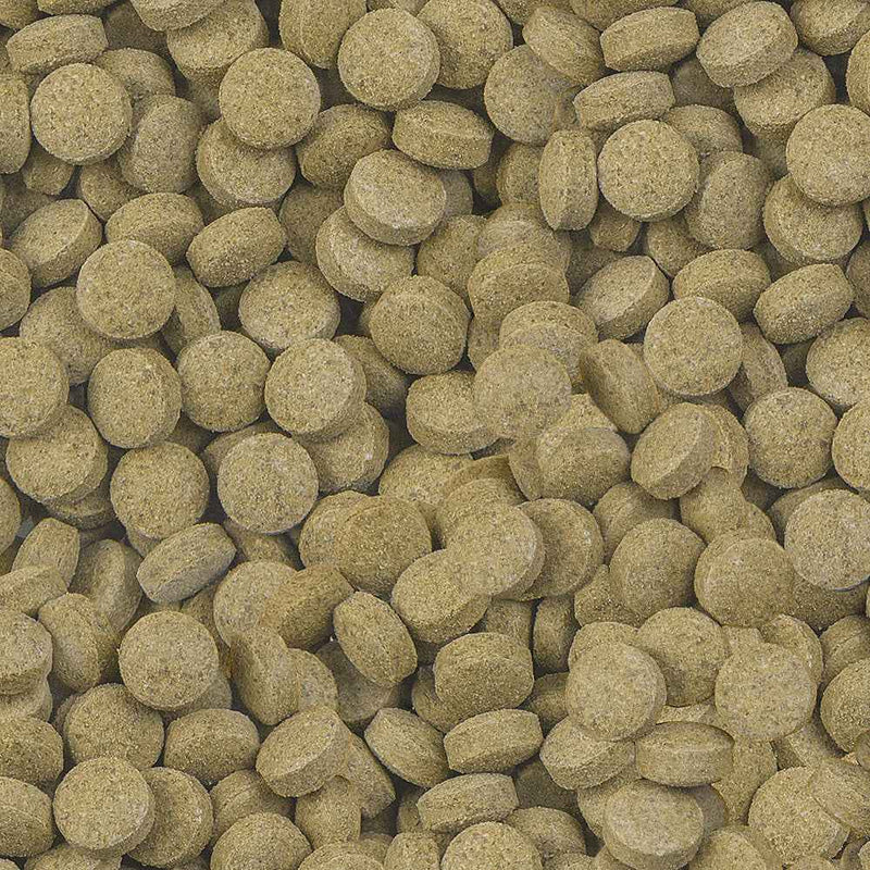 Sera Viformo Pleco Tabs