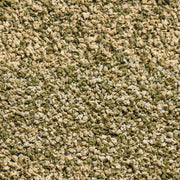 Sera Vipagran Baby Granules