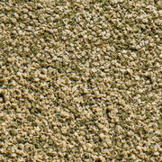 Sera Vipagran Granules