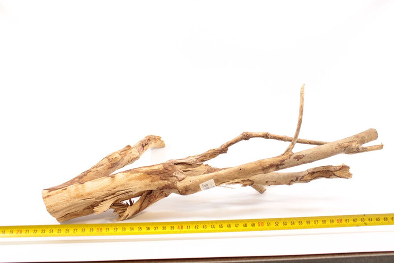 Talawa Holz M 2