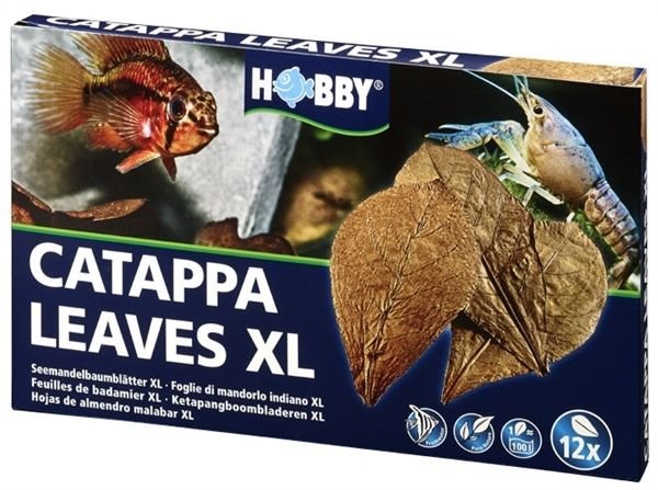 Hobby Nano Catappa Leaves XL