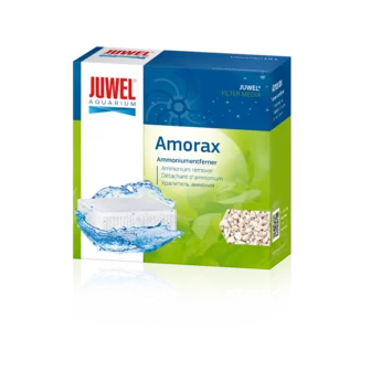 Juwel Amorax