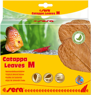 Sera Catappa Leaves