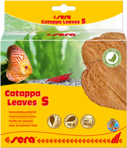 Sera Catappa Leaves