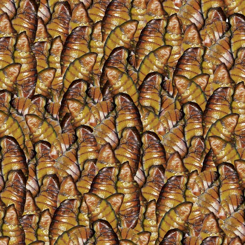 Sera Koi Silkworm