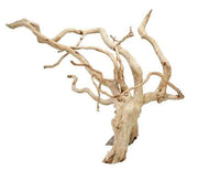 Spiderwood