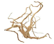 Spiderwood