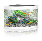 Juwel Aquarium Trigon Set