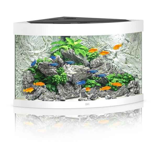Juwel Aquarium Trigon Set