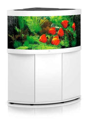 Juwel Aquarium Trigon Set