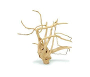 Spiderwood
